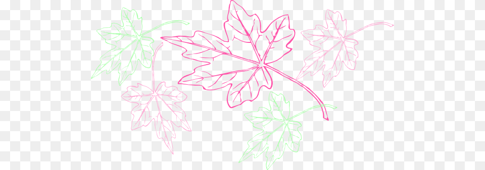 Backround Clip Art, Leaf, Plant, Tree, Maple Leaf Png Image