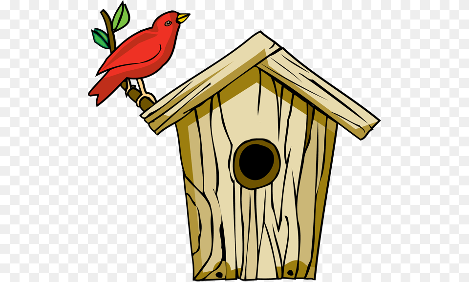 Backyard Birds Clipart, Animal, Bird Free Png