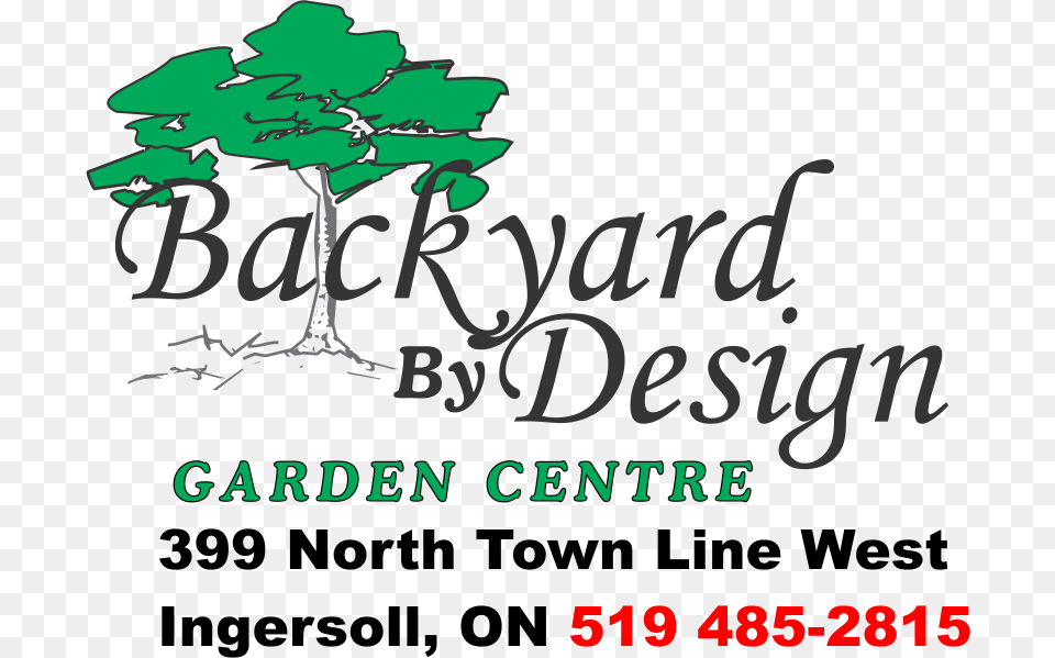 Backyard By Design Garden Centre Japanese Maples Calligraphy, Plant, Tree, Vegetation, Leaf Free Transparent Png
