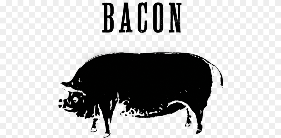 Bacon, Animal, Mammal, Pig, Hog Png