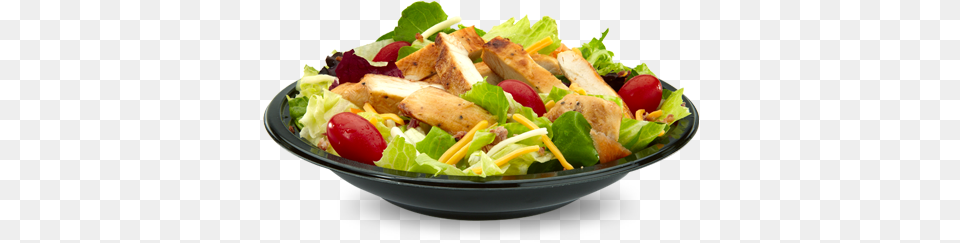 Bacon Ranch Salad Grilled Premium Bacon Ranch Salad, Food, Lunch, Meal, Food Presentation Png Image