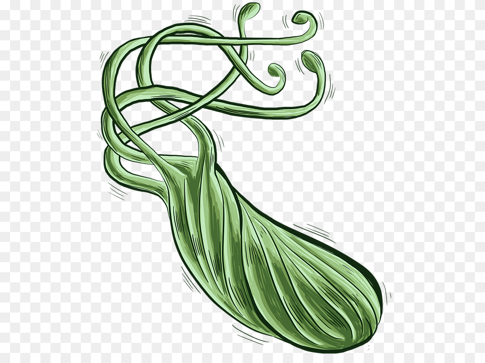 Bacteria, Accessories, Art, Earring, Jewelry Png