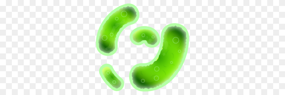 Bacteria, Disk Free Png