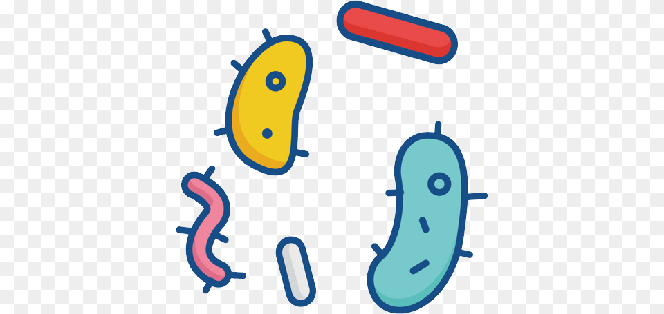 Bacteria Png Image