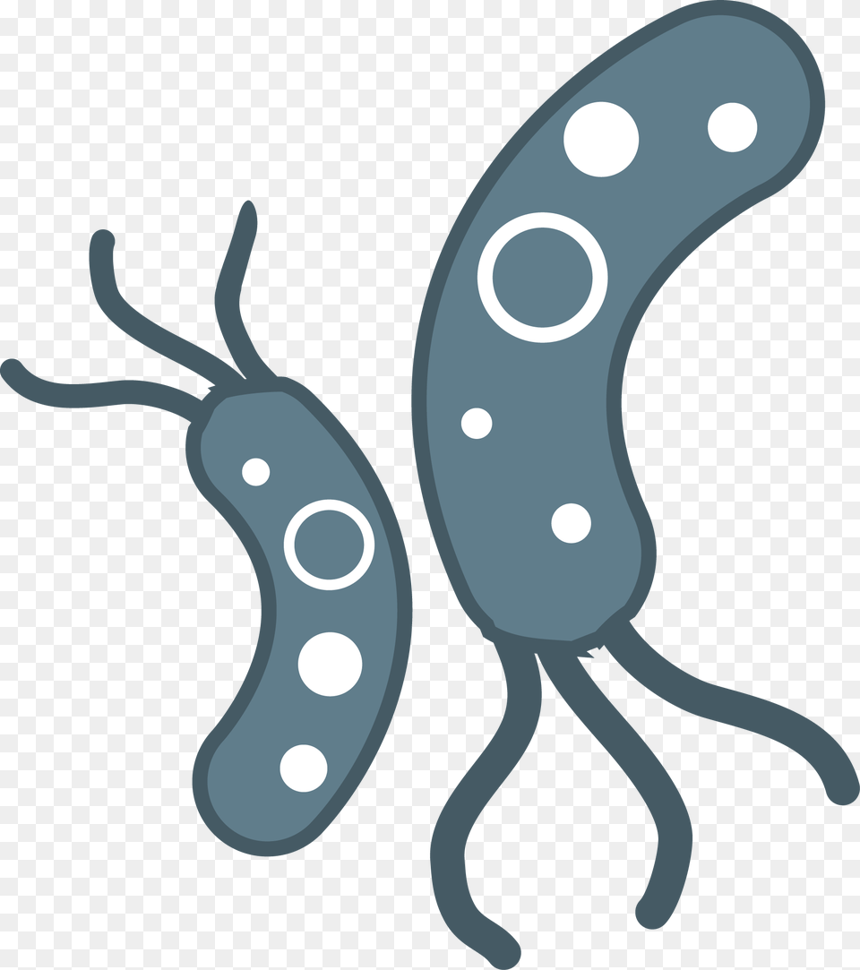 Bacteria, Animal, Kangaroo, Mammal, Food Free Png Download