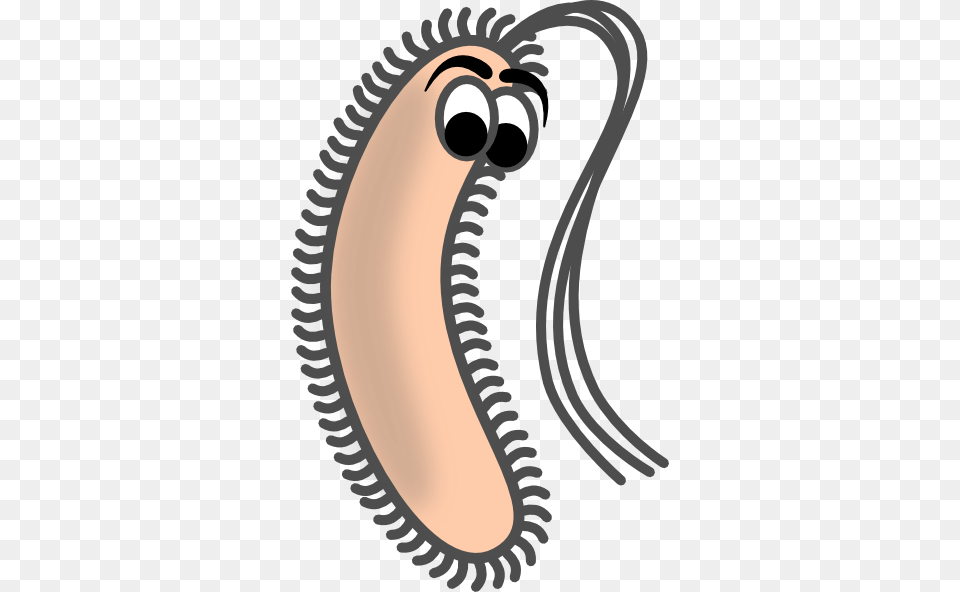 Bacteria, Smoke Pipe Free Transparent Png