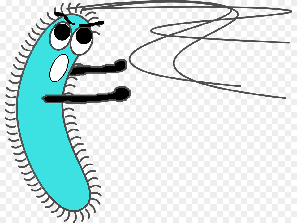 Bacteria Free Transparent Png