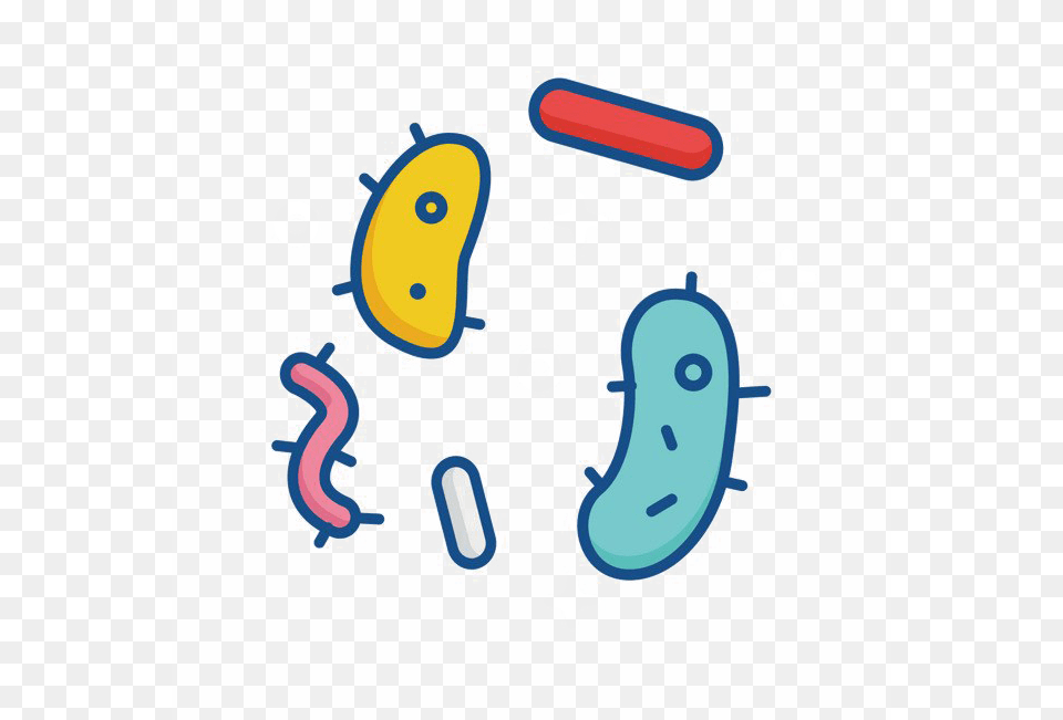 Bacteria Free Png Download