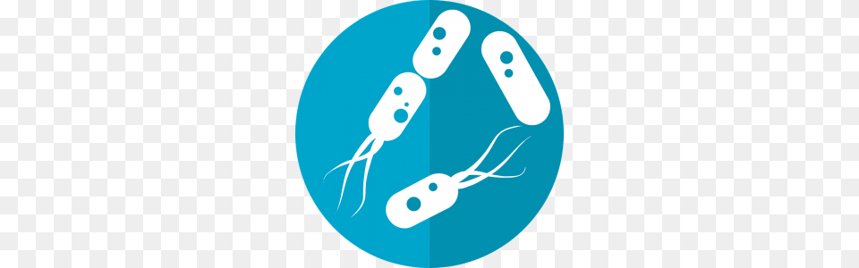 Bacteria Free Transparent Png