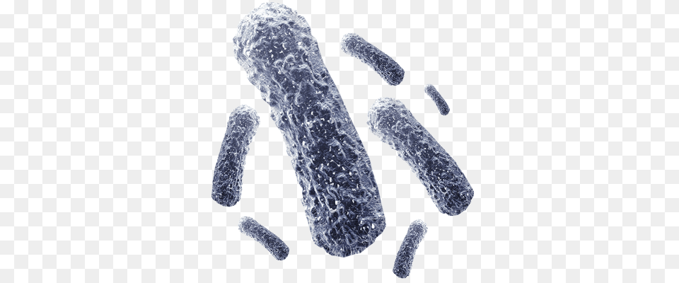 Bacteria, Ice, Nature, Outdoors, Weather Free Png Download