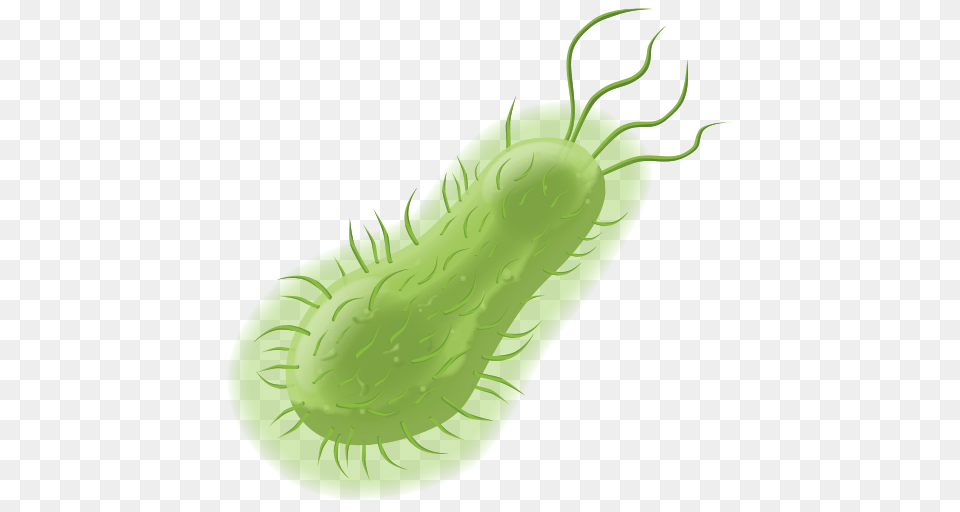 Bacteria, Food, Relish, Dynamite, Weapon Png Image
