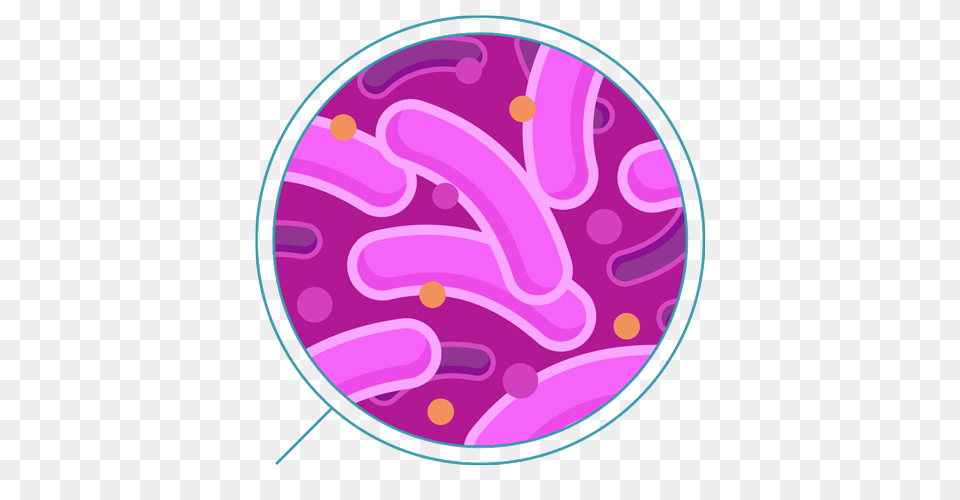 Bacteria, Purple, Pattern, Disk Png