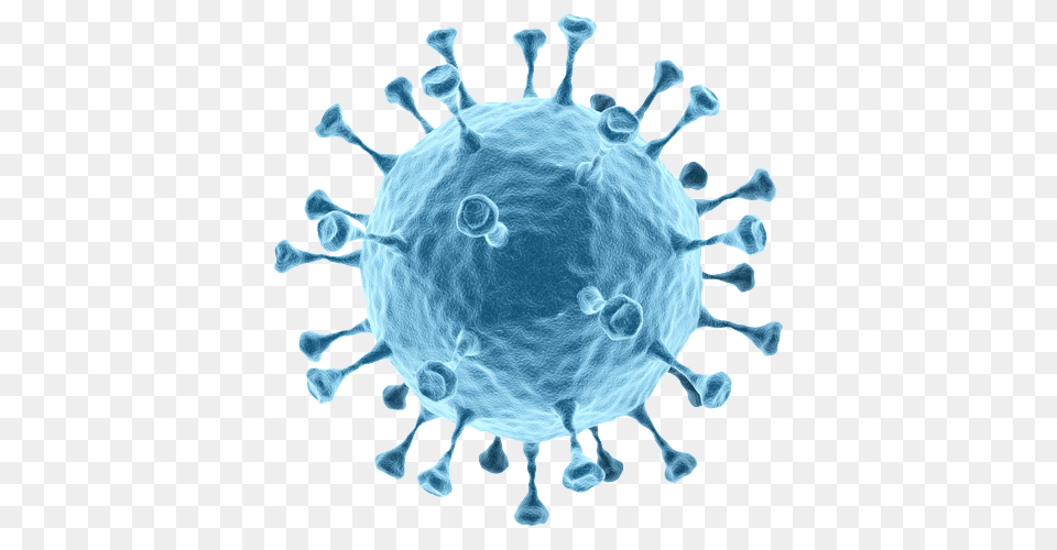 Bacteria, Sphere, Animal, Mammal, Pig Png