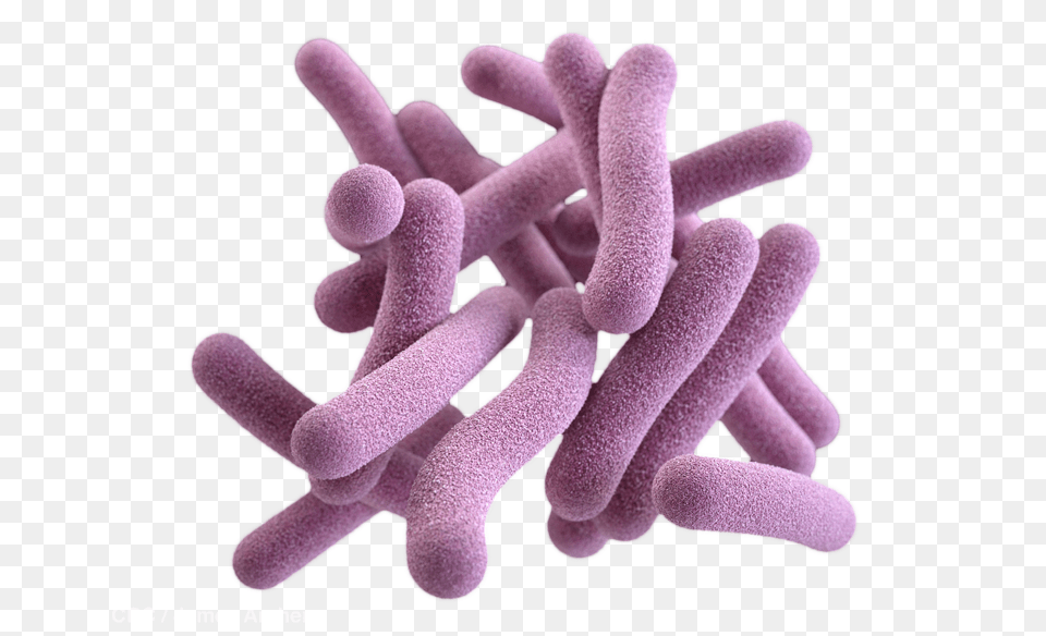 Bacteria, Plant, Pollen Free Png
