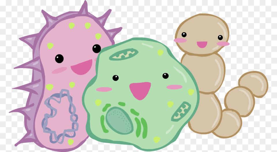 Bacteria, Applique, Pattern, Head, Face Free Png