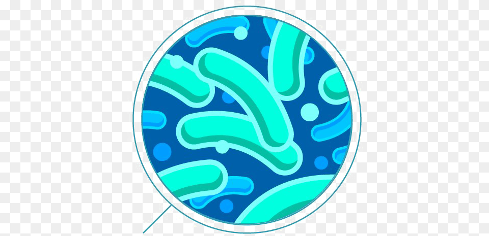 Bacteria Background Bacteria, Pattern, Turquoise, Disk, Animal Png