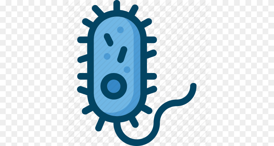 Bacteria Biology Cell Pathogenic Science Icon, Electronics, Hardware, Computer Hardware Png