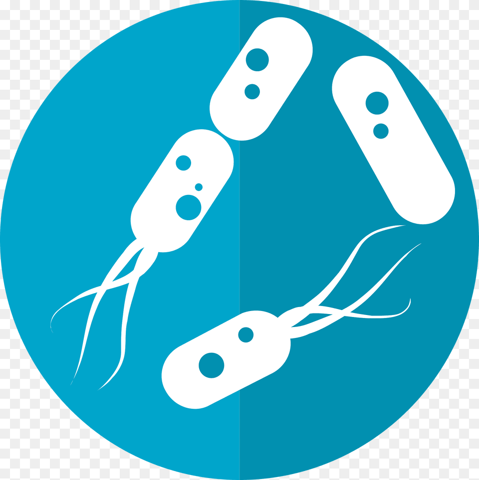Bacteria Blue Clipart Bacterias, Disk Free Transparent Png