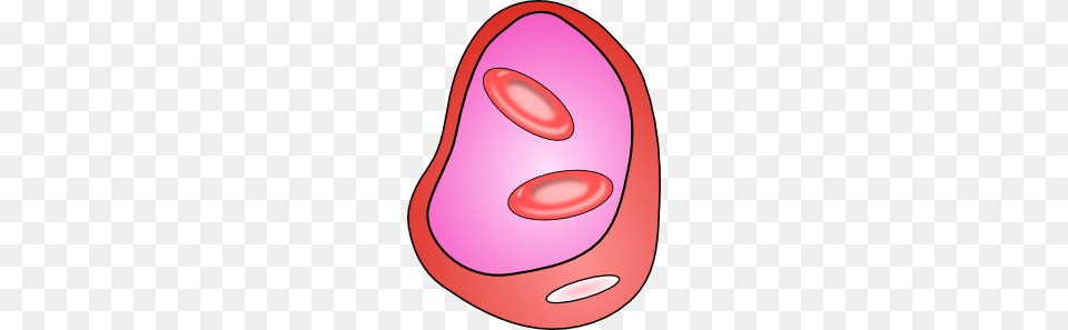 Bacteria Cell Clip Art For Web, Food, Sweets, Clothing, Hardhat Png Image