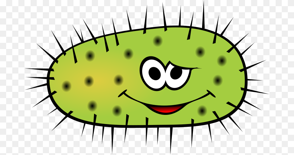 Bacteria Clip Art, Cucumber, Food, Plant, Produce Free Transparent Png