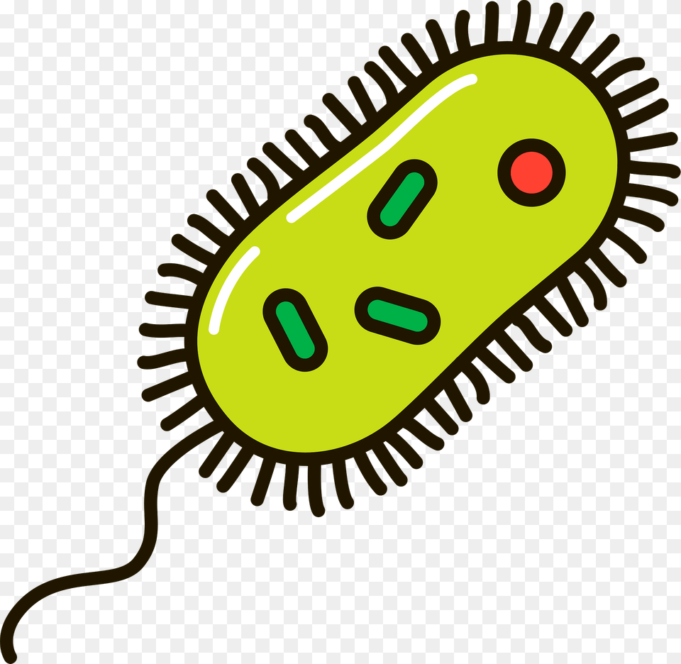 Bacteria Clipart, Animal, Reptile, Snake Png Image