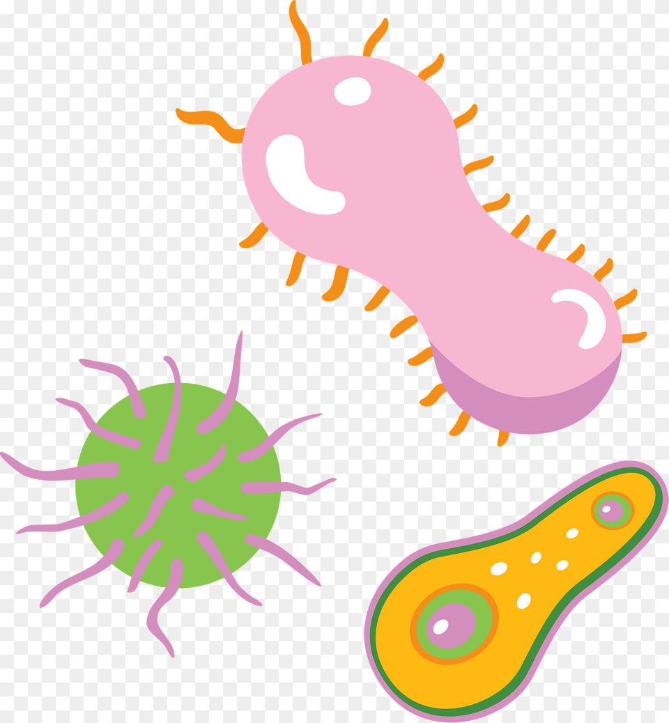 Bacteria Clipart Png Image