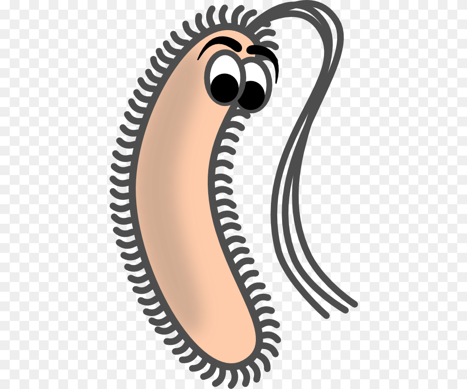 Bacteria Clipart, Person Png Image