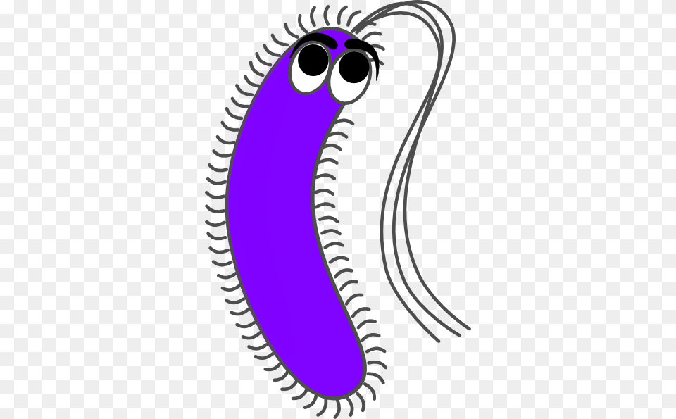 Bacteria Clipart Png