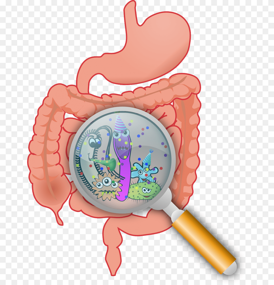 Bacteria Clipart Anaerobic Bacteria, Magnifying, Food, Ketchup Png Image