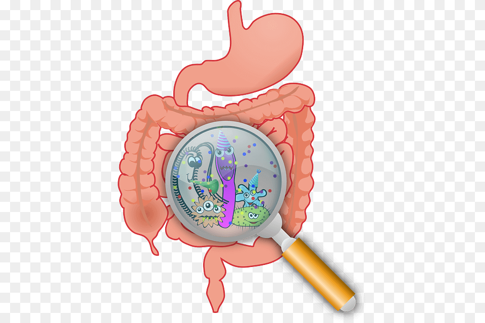 Bacteria Clipart Urinary Tract Infection, Magnifying Free Png Download