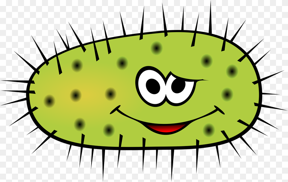 Bacteria Cliparts, Cucumber, Food, Plant, Produce Png Image