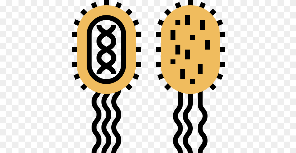Bacteria Germ Infection Virus Icon Clip Art Png Image