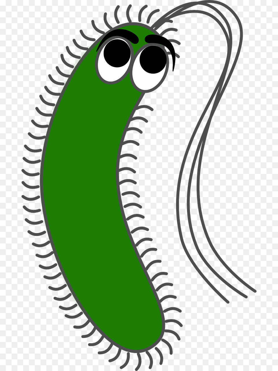 Bacteria Gram Negative Bacteria Cartoon, Animal, Reptile, Snake, Cucumber Png