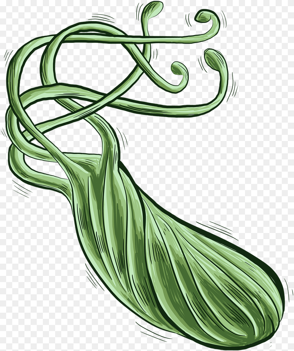 Bacteria Helicobacter Pylori, Art, Floral Design, Graphics, Pattern Free Png Download