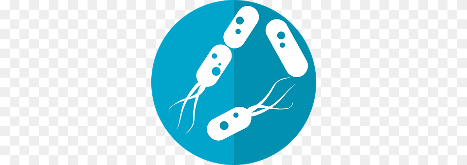 Bacteria Icon Disk Png Image