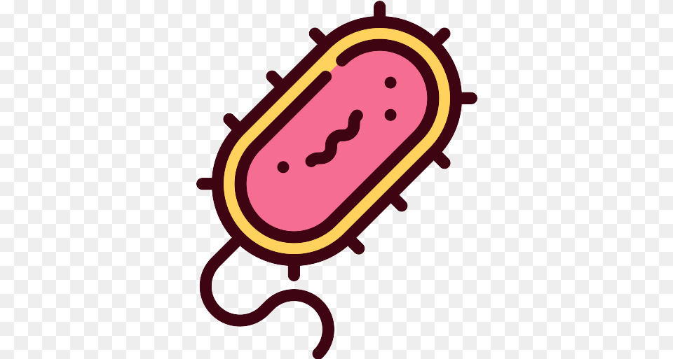 Bacteria Icon Bacteria Icon Free Png