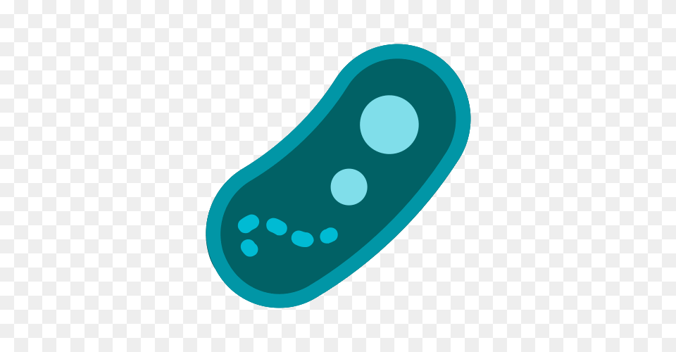 Bacteria Icons Free Png