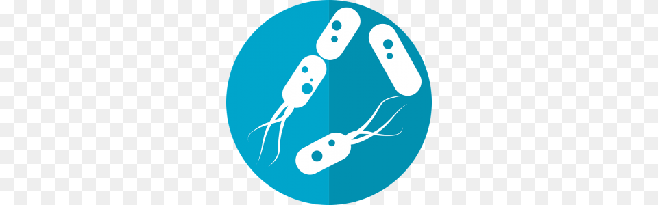 Bacteria Images Free Download, Disk Png Image
