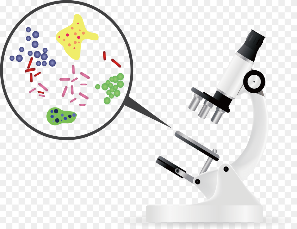 Bacteria Microorganism Microscope Bacteria, Appliance, Ceiling Fan, Device, Electrical Device Png