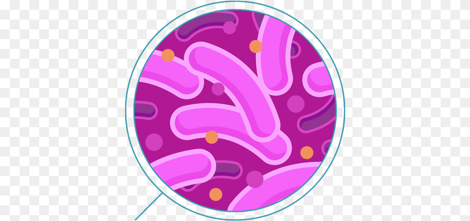 Bacteria Transparent Background Bacteria, Purple, Disk, Light, Pattern Png