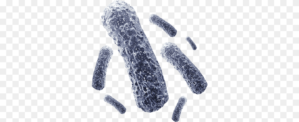 Bacteria Transparent Background Transparent Background Bacteria, Crystal, Plant, Pollen, Mineral Free Png