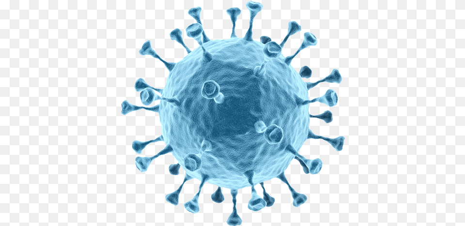 Bacteria Transparent Bacterial, Sphere, Pattern, Animal, Cattle Free Png