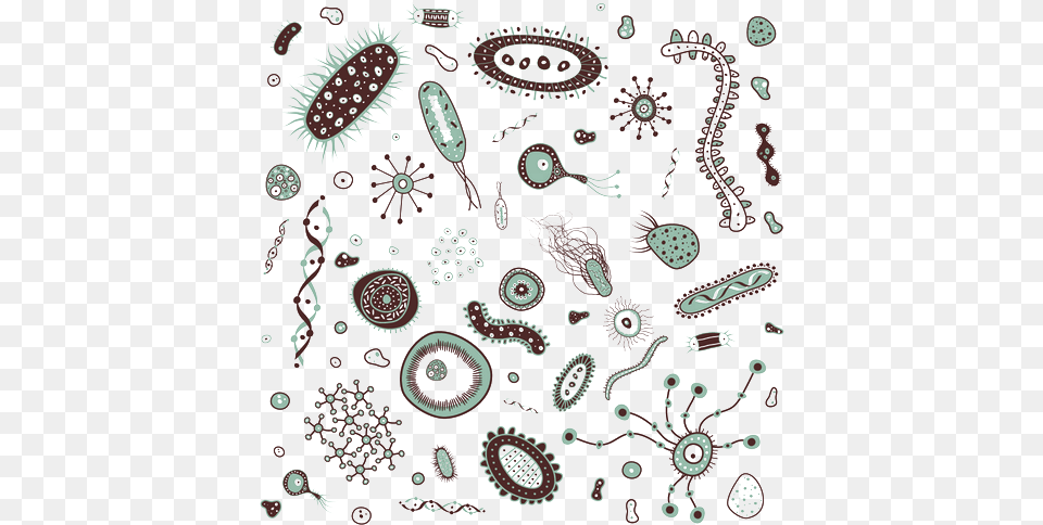 Bacteria Transparent Images Bacteria Clipart, Paisley, Pattern Png Image