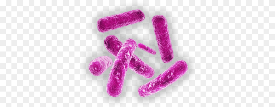 Bacteria Transparent Images Microscopic Bacteria, Purple, Smoke Pipe Png