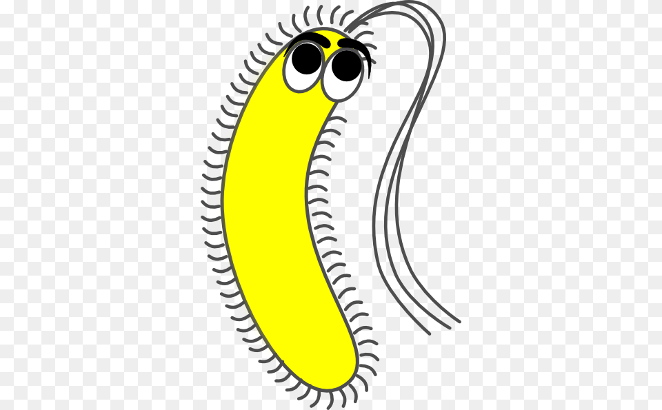 Bacteria Yellow Funny Clip Art, Food, Fruit, Plant, Produce Free Transparent Png