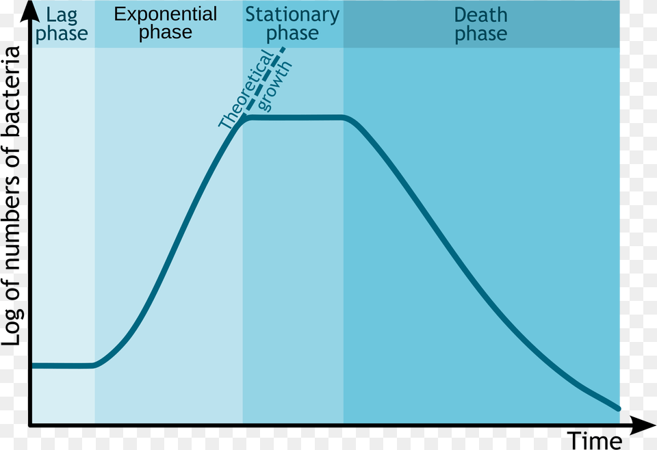 Bacterial Growth Curve, Bow, Chart, Plot, Weapon Free Png