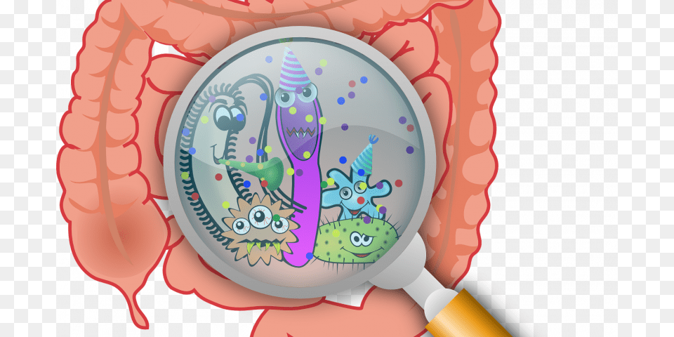 Bacterias En Tracto Gastrointestinal, Baby, Person, Magnifying Png Image