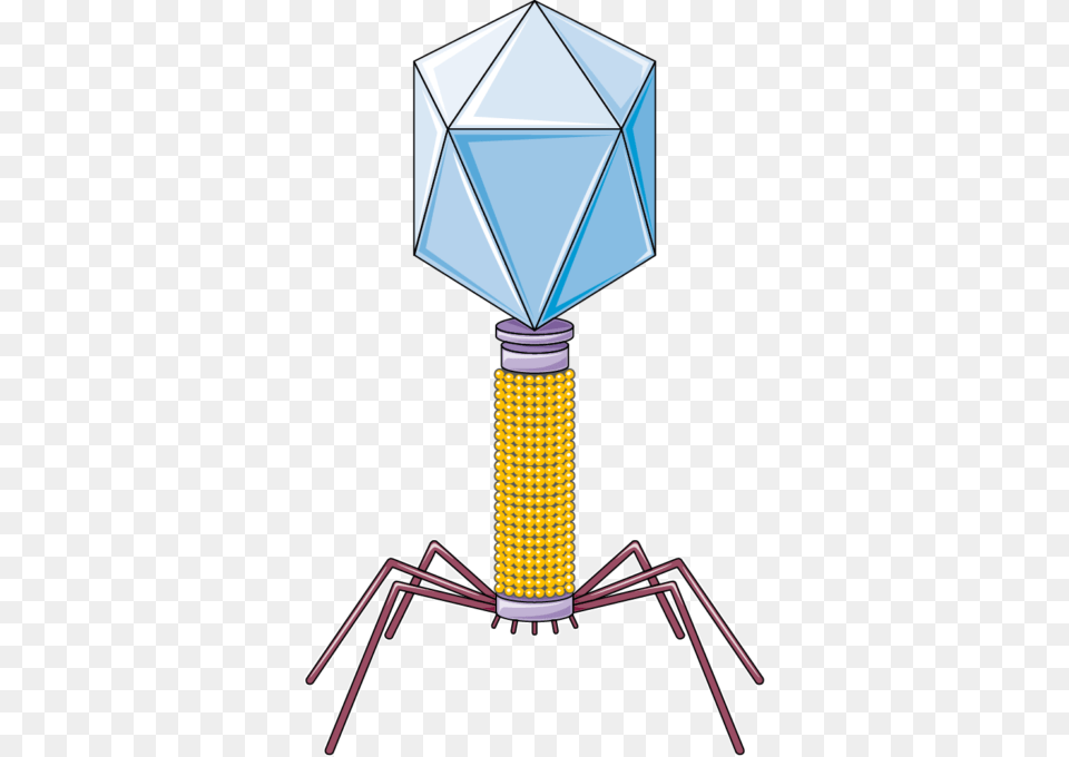 Bacteriophage F, Lamp Png Image