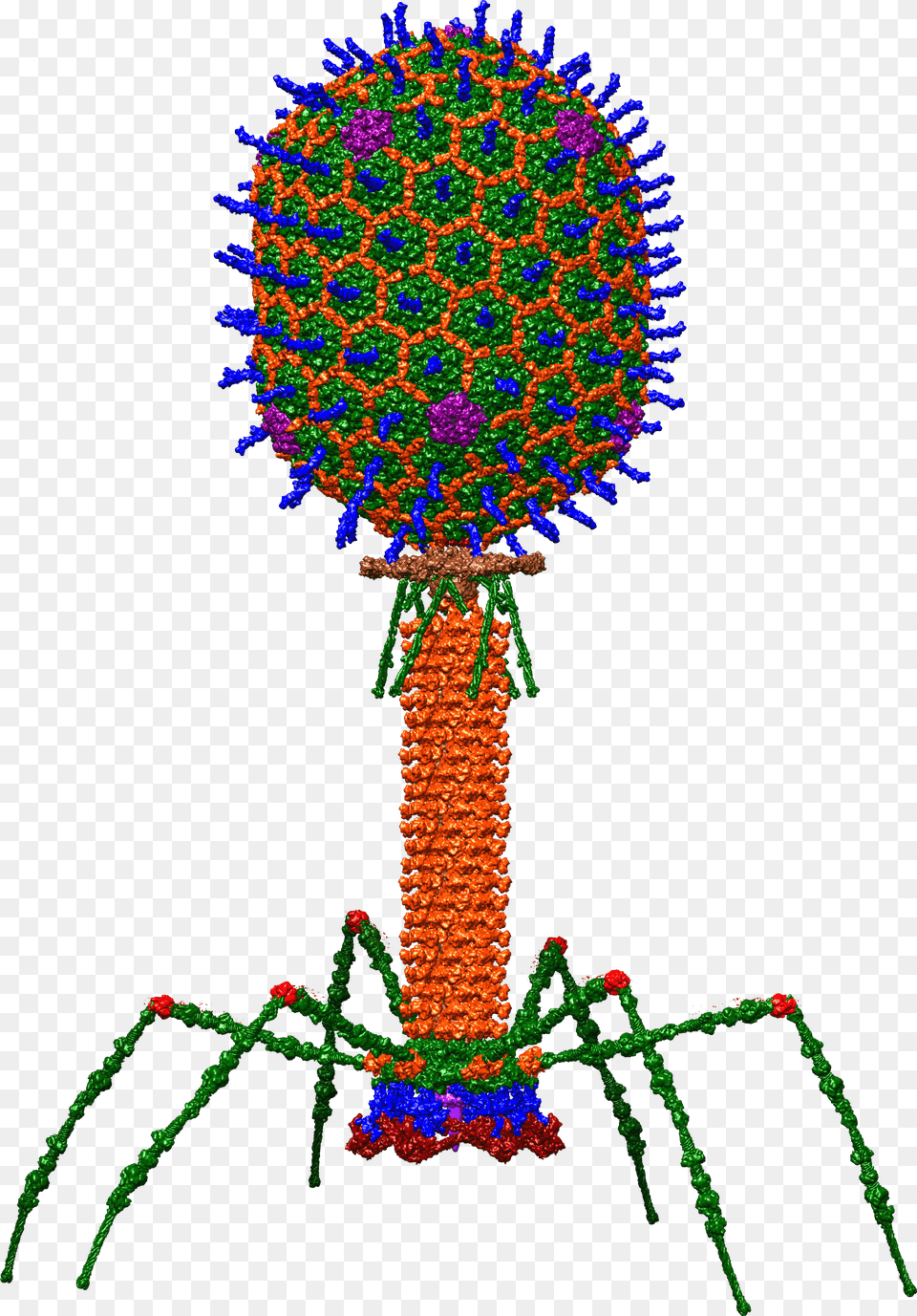 Bacteriophage Wikipedia T4 Bacteriophage, Pattern, Plant, Accessories, Art Free Png Download