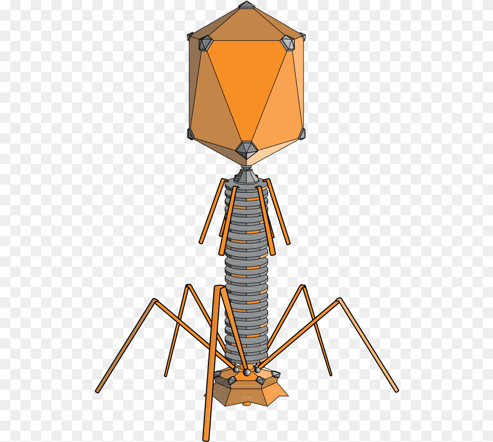 Bacteriophages Are 20 Sided But With Legs Virus Bacteriophage, Lamp Png